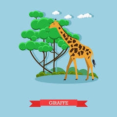 Giraffe. Vector illustration.