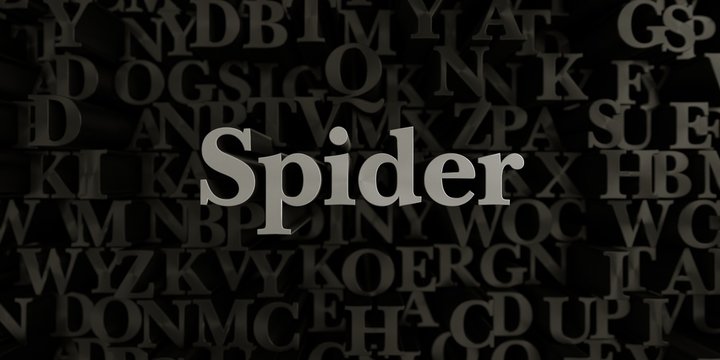 Spider - Stock image of 3D rendered metallic typeset headline illustration.  Can be used for an online banner ad or a print postcard.