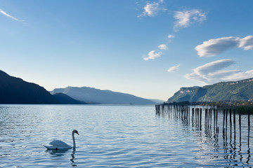 Lac du Bourget, Aix-les-Bains, Savoie - obrazy, fototapety, plakaty