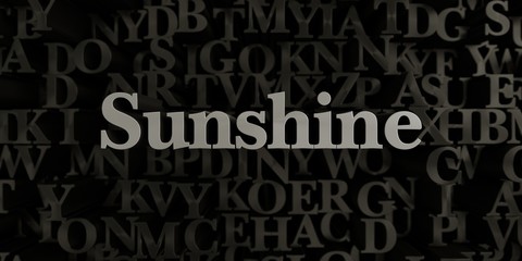 Sunshine - Stock image of 3D rendered metallic typeset headline illustration.  Can be used for an online banner ad or a print postcard.