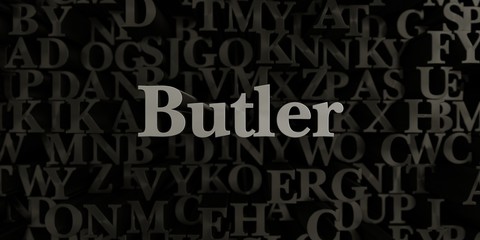 Butler - Stock image of 3D rendered metallic typeset headline illustration.  Can be used for an online banner ad or a print postcard.