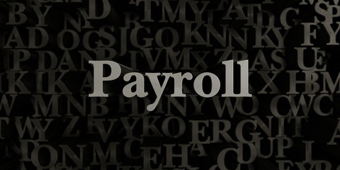 Payroll - Stock image of 3D rendered metallic typeset headline illustration.  Can be used for an online banner ad or a print postcard.