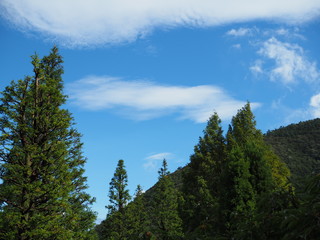緑と青