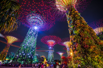 Singapore Supertree Light Show