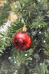 Christmas decorations on tree under snow