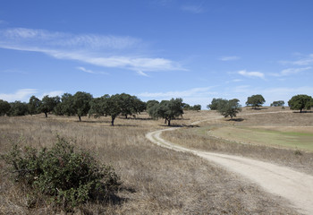 Landescape of Alentejo