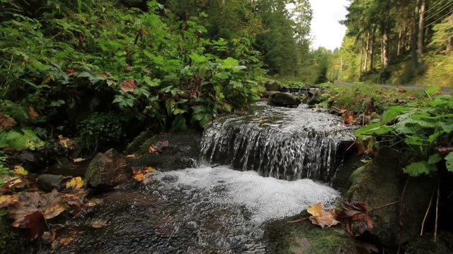 Mountain stream with a small waterfall in Carpathians (1080p, 25 fps)