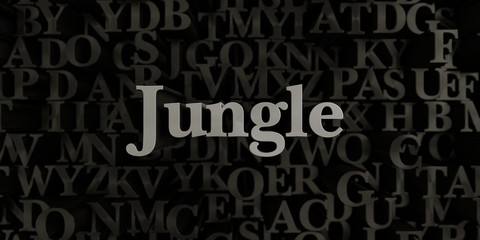 Jungle - Stock image of 3D rendered metallic typeset headline illustration.  Can be used for an online banner ad or a print postcard.
