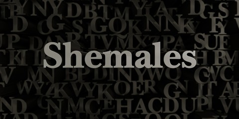 Shemales - Stock image of 3D rendered metallic typeset headline illustration.  Can be used for an online banner ad or a print postcard.