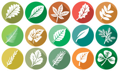 leaf flat icons set