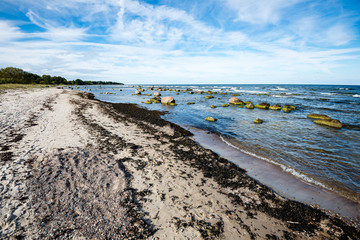 comfortable beach of the baltic sea with rocks and green vegetat