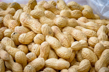 Roasted Peanuts