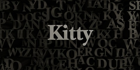Kitty - Stock image of 3D rendered metallic typeset headline illustration.  Can be used for an online banner ad or a print postcard.