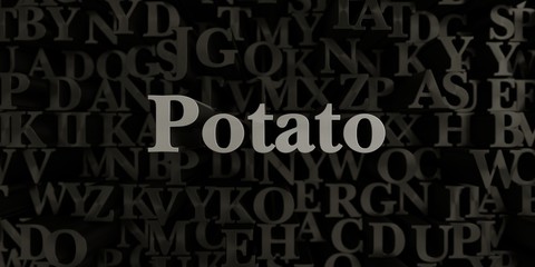 Potato - Stock image of 3D rendered metallic typeset headline illustration.  Can be used for an online banner ad or a print postcard.