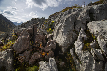 Felsen im Gebirge