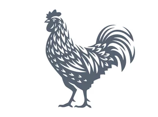 Foto op Plexiglas Vector illustration of rooster © sodesignby