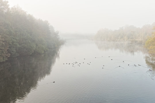 Early morning autumn mist hangs over the River Poulter