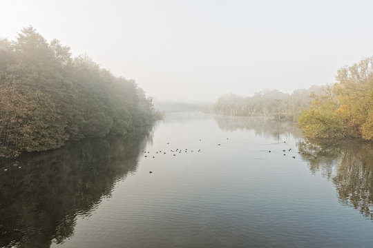 A calm River Poulter flowing through the countryside in the autumn mist.