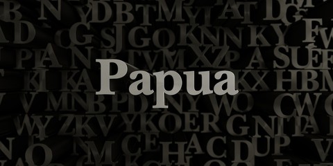 Papua - Stock image of 3D rendered metallic typeset headline illustration.  Can be used for an online banner ad or a print postcard.
