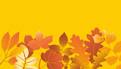 Naklejka na ściany i meble Colorful autumn leaves arrange on yellow background