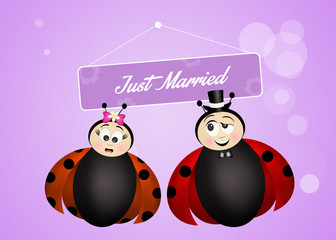 Naklejka premium Marriage of ladybugs
