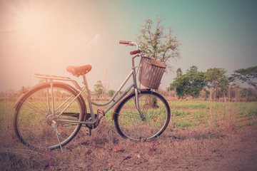 Fototapeta na wymiar Beautiful vintage bicycle in the field with colorful sunlight and blue sky ; vintage filter style for greeting card and post card.