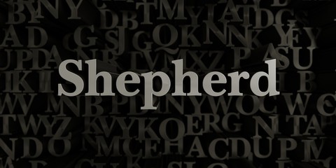 Shepherd - Stock image of 3D rendered metallic typeset headline illustration.  Can be used for an online banner ad or a print postcard.