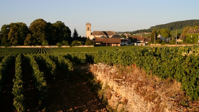 Pommard and its Vineyards in Cote de Beaune, France Europe 