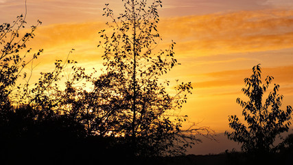 Sonnenuntergang im Herbst mit Baum