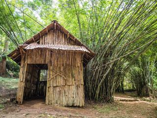 Fototapeta na wymiar Log cabin in a forest