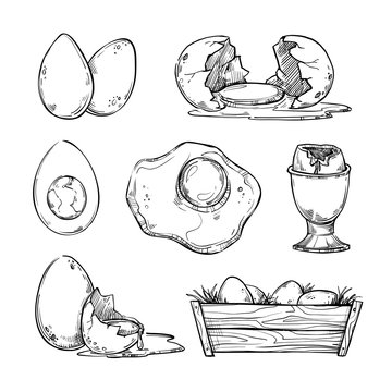 Hand drawn vector illustration - Set of eggs. Scrambled egg, omelet
