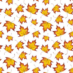 Obraz premium Watercolour seamless pattern of autumn leaves maple, hand paint watercolor autumn background of falling leaf, design for fabric, textile, wrapping paper, card, invitation, wallpaper, web design