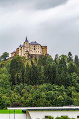 Fototapeta na wymiar Schloss Strassburg, Austria