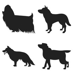 Set of dogs silhouette