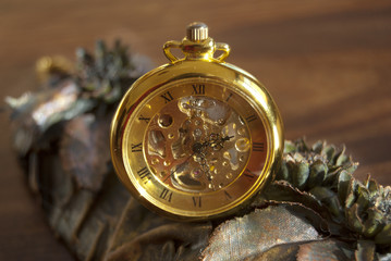 old  pocket watch