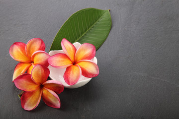 frangipani