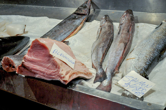 Congrio Fish at Fish Market