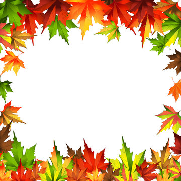 border frame autumn leaves isolated on white