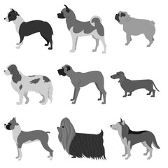 Set of dog breeds