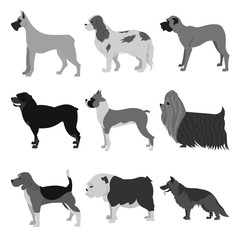 Set of dog breeds