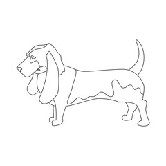 Basset hound linear style