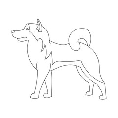 Alaskan malamute line