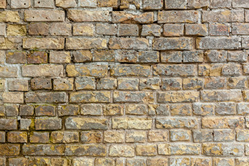 Brick wall. Brick wall.