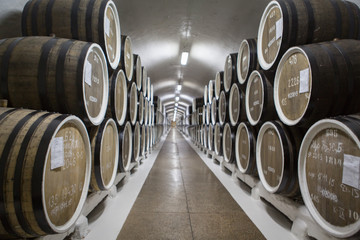 wine cellar