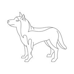 Fototapeta premium Siberian husky dog