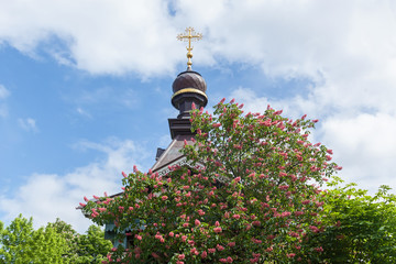 Fototapete bei efototapeten.de bestellen   