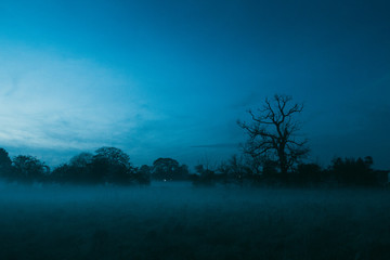 Fototapeta na wymiar Eerie Mist At Dusk