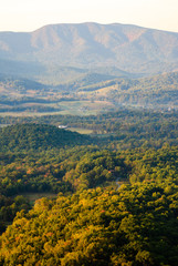 Obraz premium Shenandoah National Park