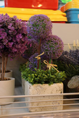 artificial flower, shop, purple, lilac, succulent