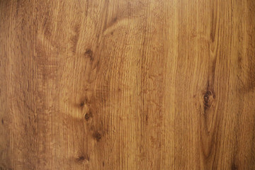 Texture of oak wood.